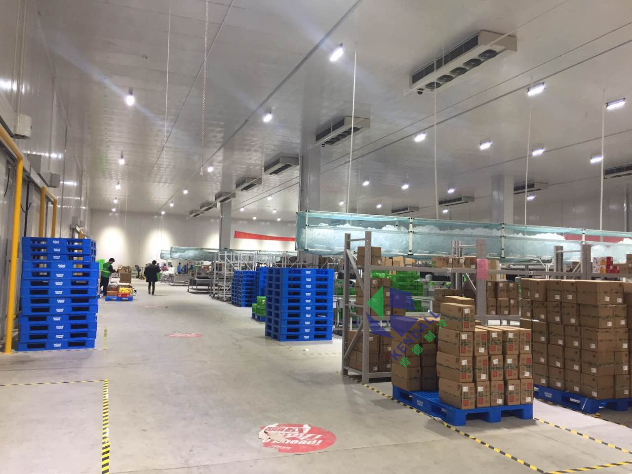 南京巨凱供應鏈管理有限公司12500平方米冷庫